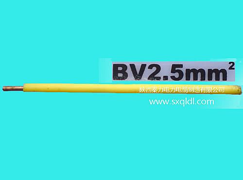 BV 2.5mm2 |