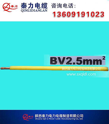 BV-2.5cBLV-2.5-|S